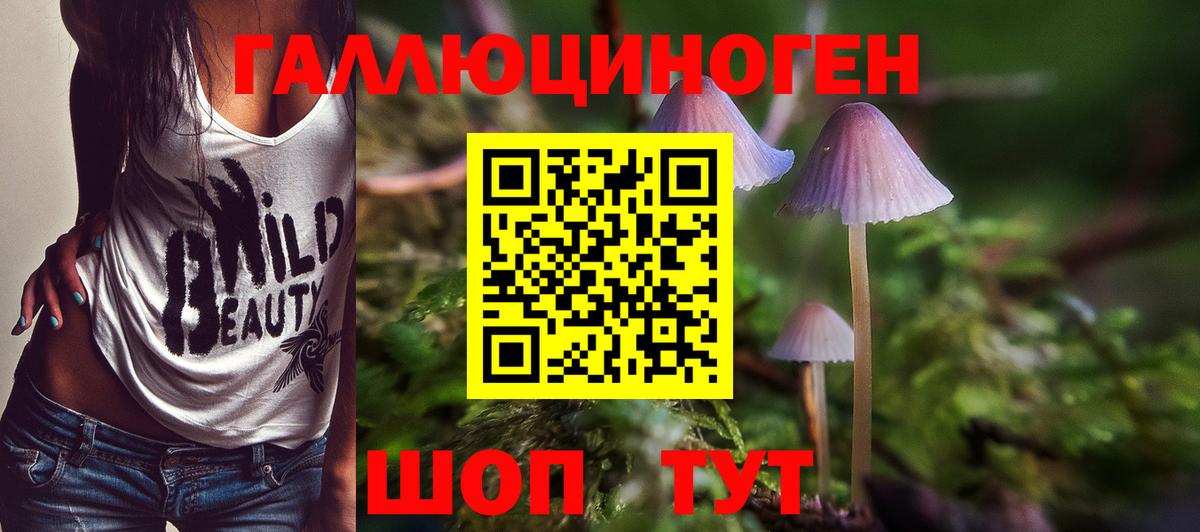 Ульяновск  Галлюциногенные грибы MAGIC MUSHROOMS  Вход с VPN 